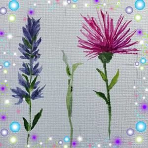 Meet your Posher, Jan